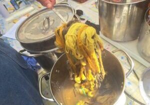Natural Plant Yarn dyeing